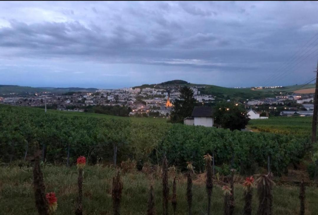 Dans Les Vignes D'Epernay Villa Exterior foto